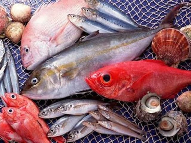 Cá biển Vũng Tàu