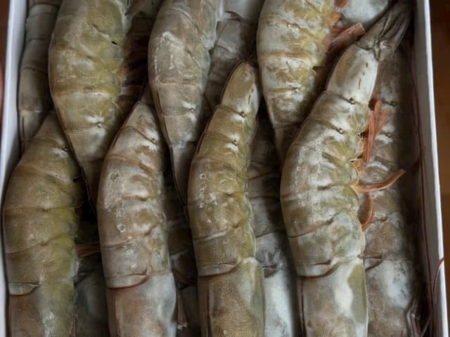 Tôm biển miền Trung