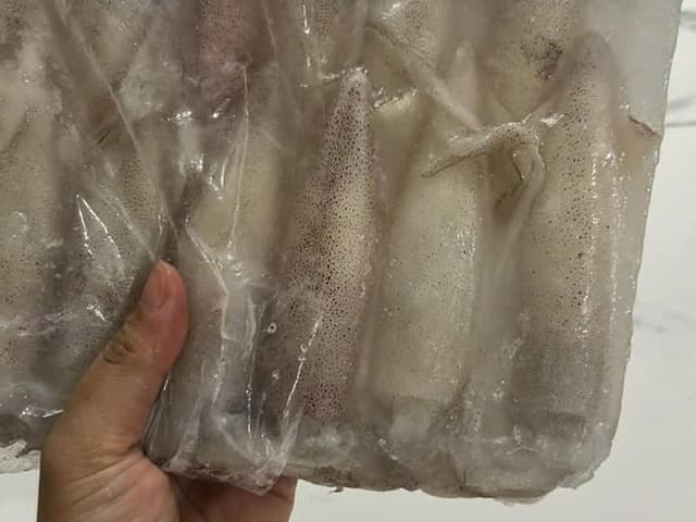 Mực miền Trung biển Vũng Áng