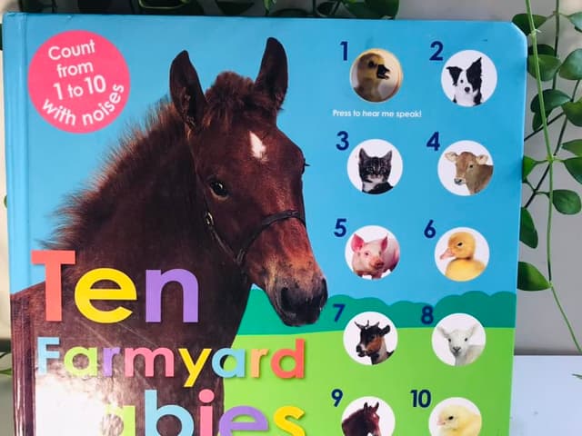 Sách âm thanh tiếng kêu 10 bạn động vật: Ten Farmyard Babies