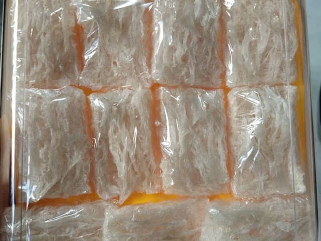 Yến tinh chế miếng chữ nhật (Nhiều sợi) Nha Trang