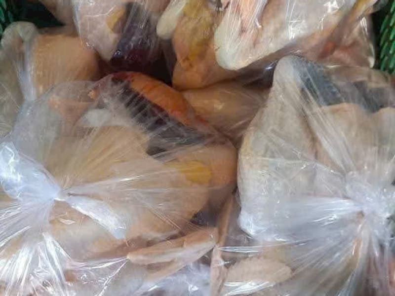 Gà mái tơ Đồng Nai