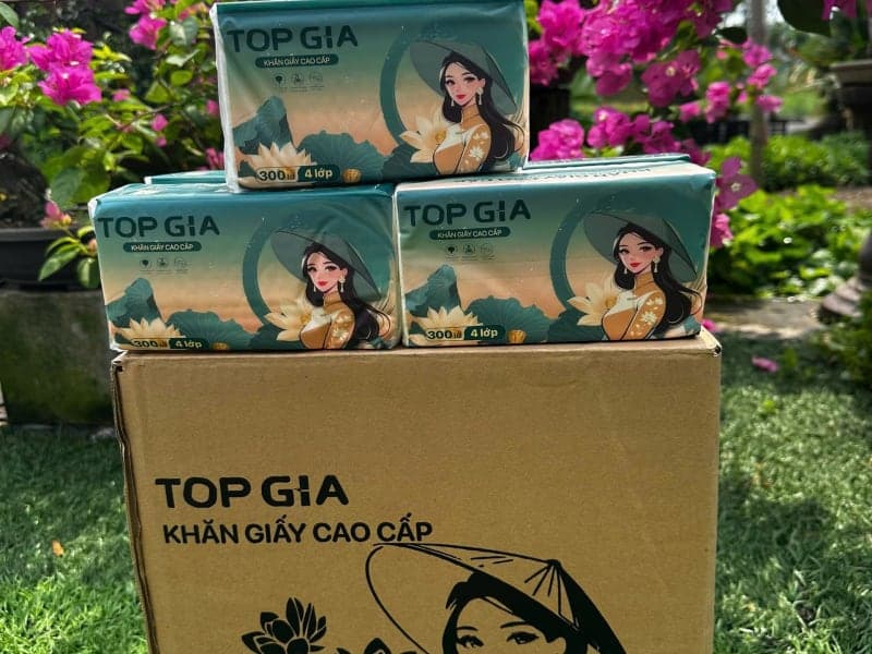 Giấy Topgia