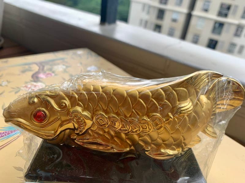 Cá chép tài lộc phong thuỷ ánh vàng
