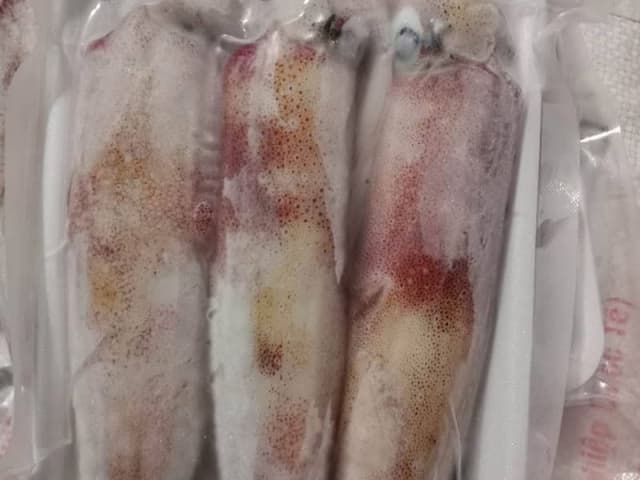 Mực Ống size 6-8 con